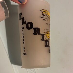 Florida Souvenir Frosted Glass